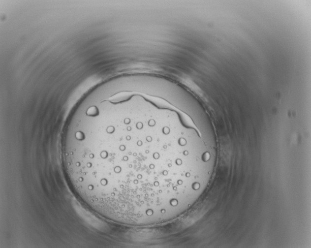 X0000060771474200511241741