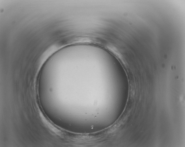 X0000060771475200511241741