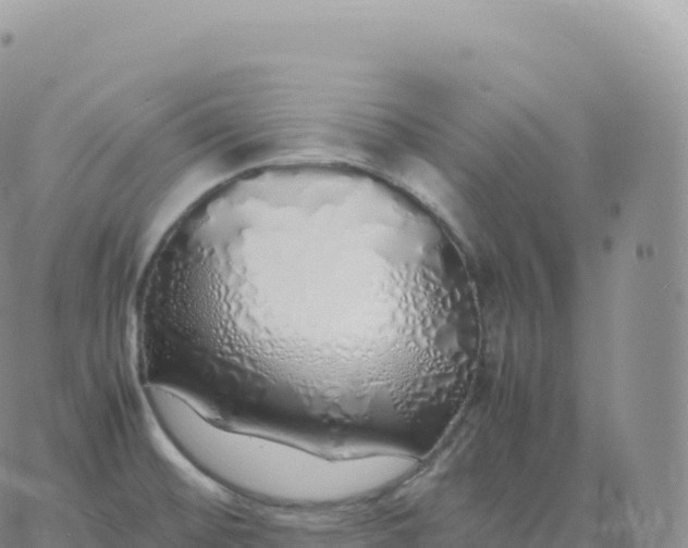 X0000060771476200511241741