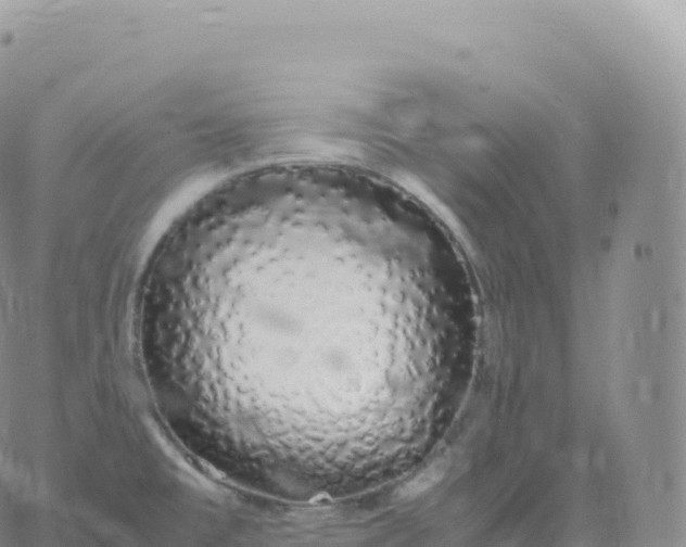 X0000060771477200511241741