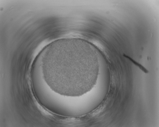 X0000060771478200511241741