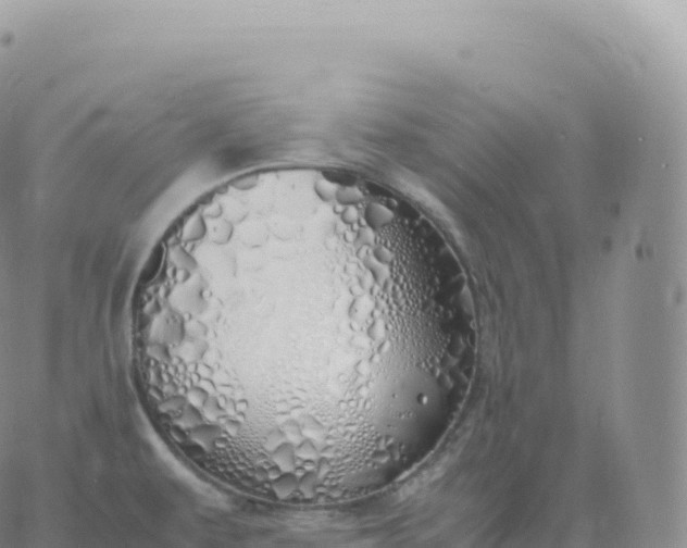 X0000060771479200511241741