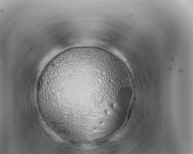 X0000060771480200511241741