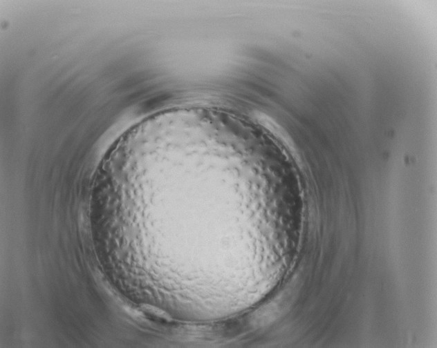 X0000060771481200511241741