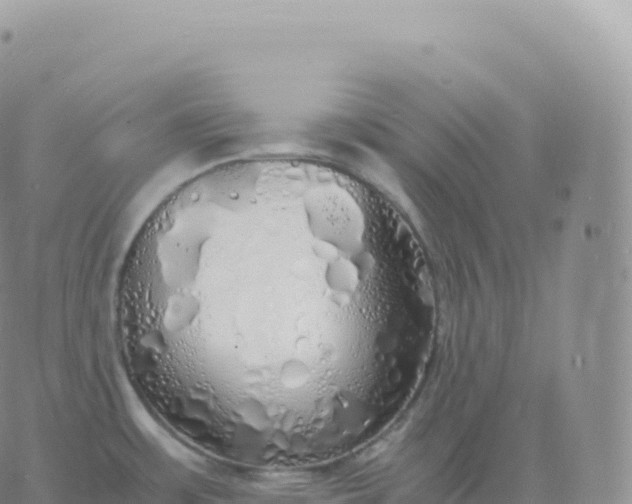 X0000060771483200511241741