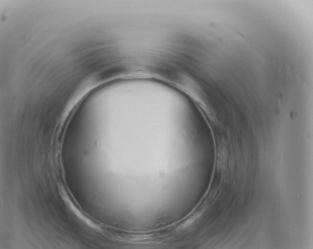 X0000060771484200511241741