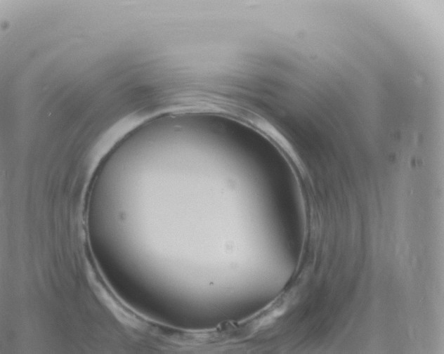 X0000060771485200511241741