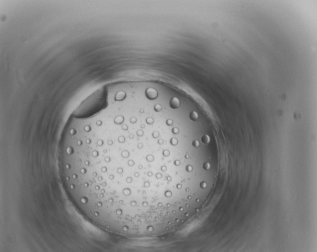 X0000060771486200511241741