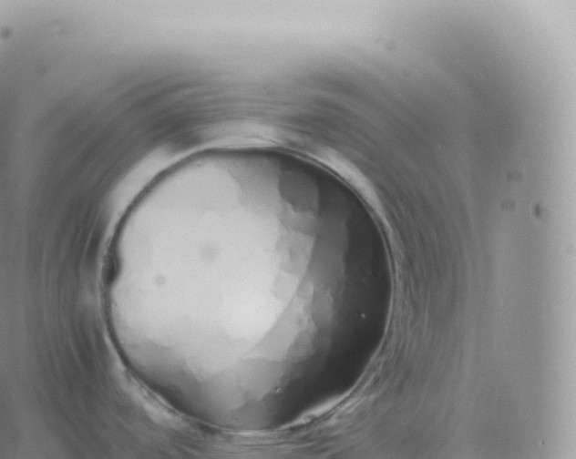 X0000060771488200511241741