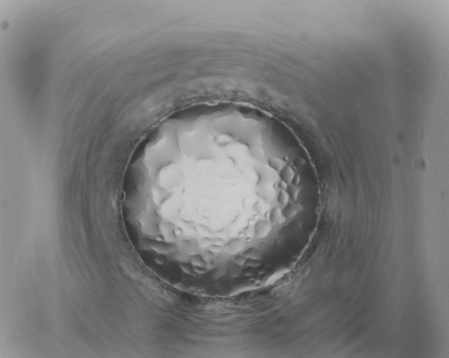 X0000060771489200511241740