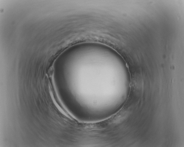 X0000060771490200511241740