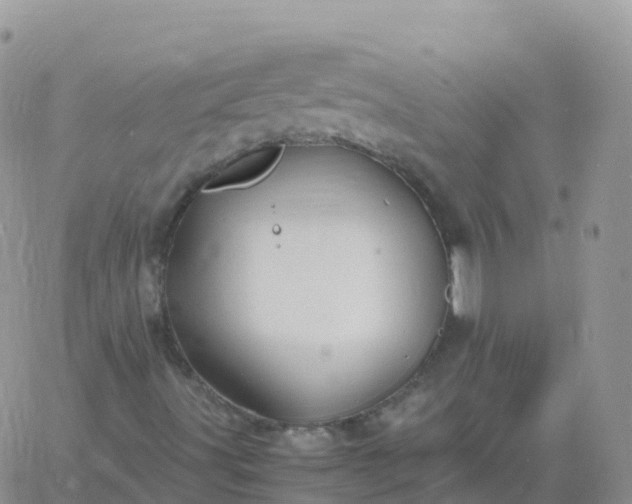 X0000060771491200511241740