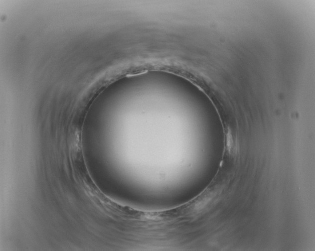 X0000060771492200511241740