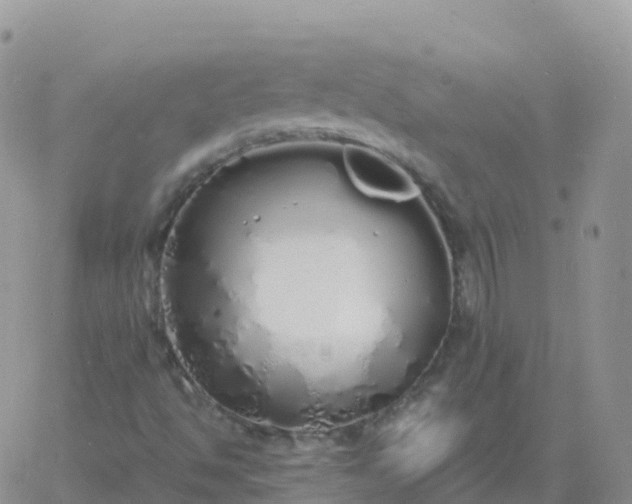 X0000060771494200511241740