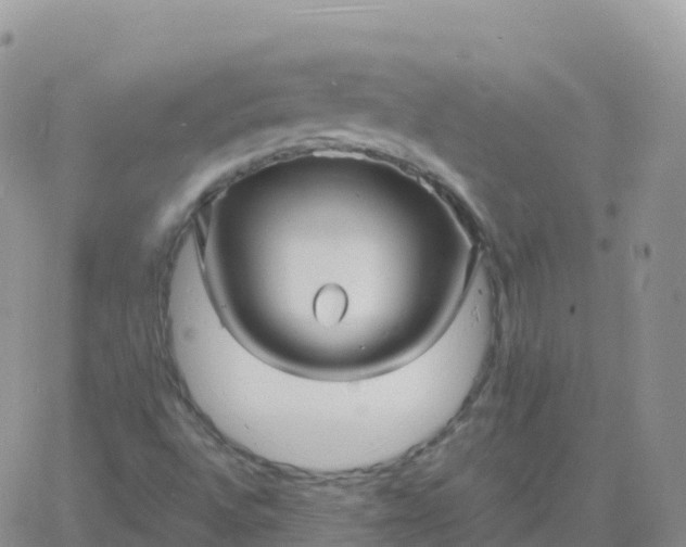 X0000060771496200511241740