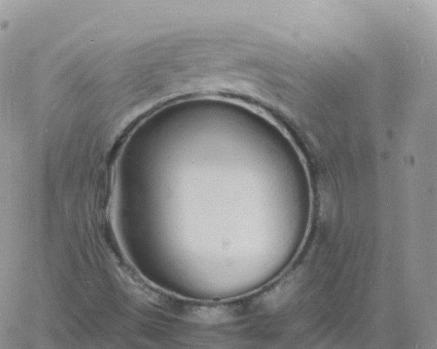 X0000060771497200511241740