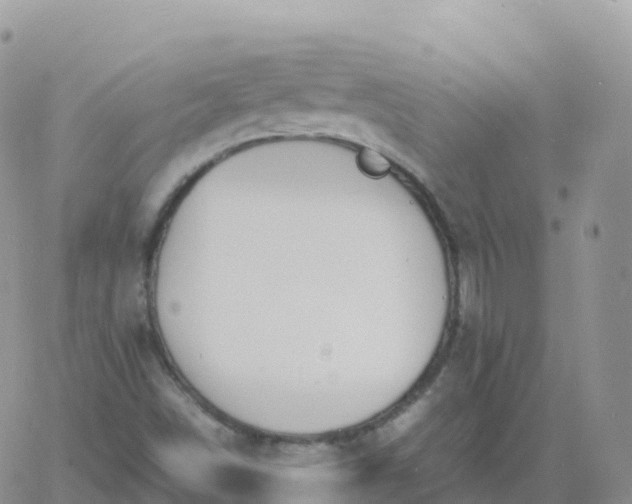 X0000060771498200511241740