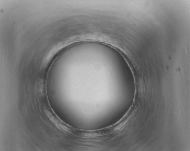 X0000060771499200511241740