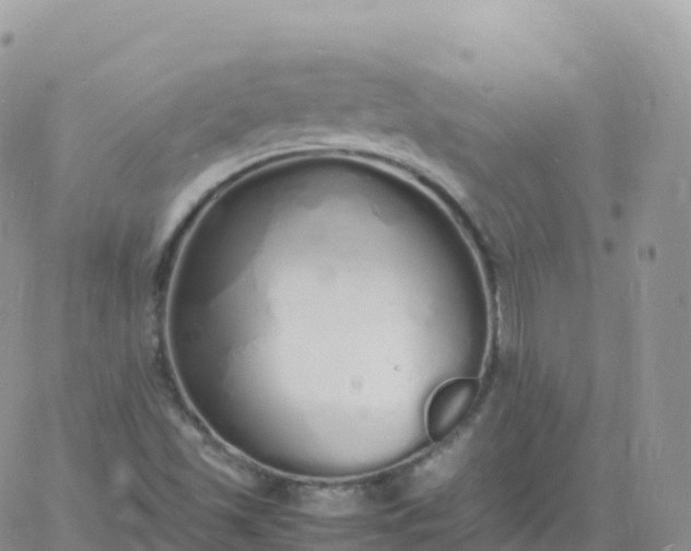 X0000060771501200511241740