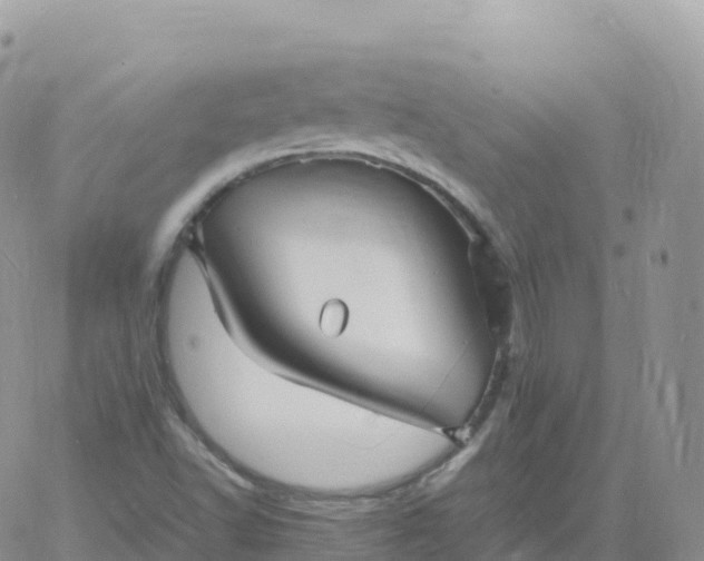 X0000060771502200511241740