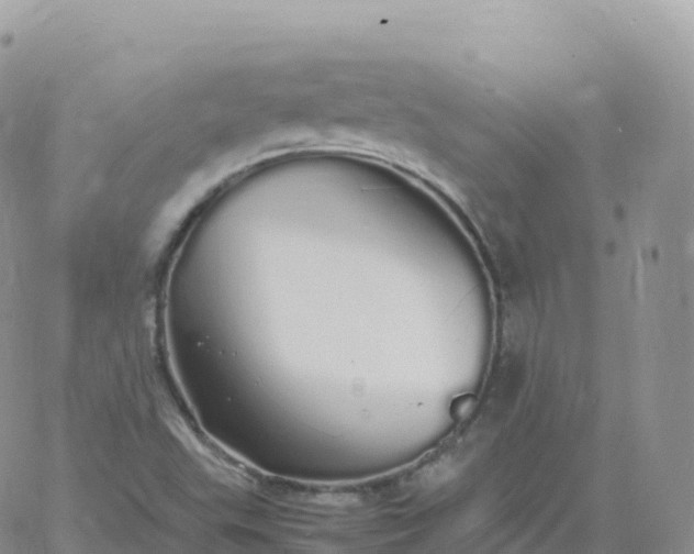 X0000060771503200511241740