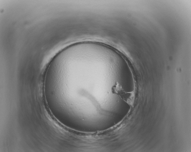 X0000060771504200511241740