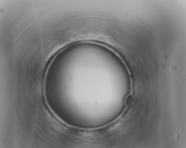 X0000060771505200511241740