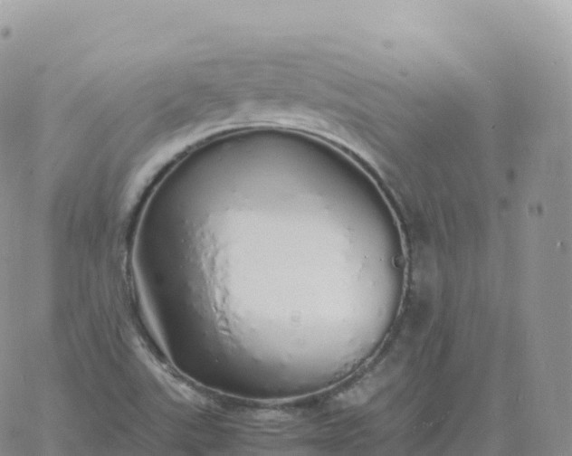 X0000060771507200511241740