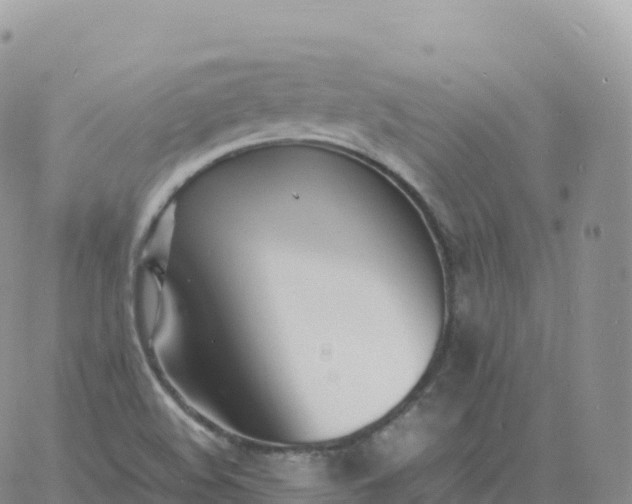 X0000060771508200511241740