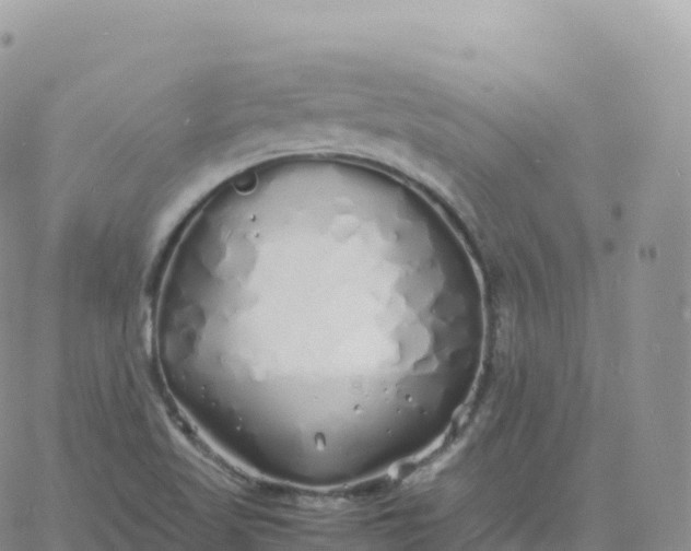 X0000060771509200511241741