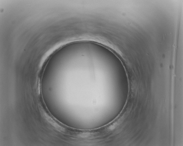 X0000060771510200511241741