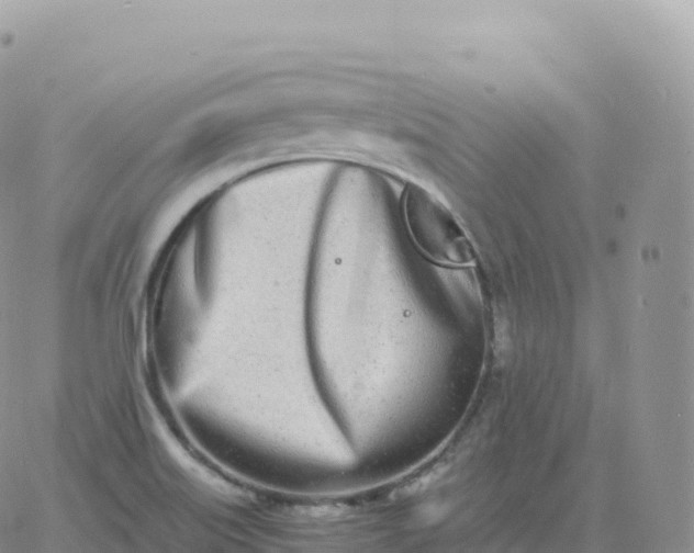 X0000060771515200511241741