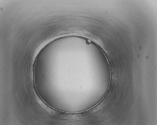 X0000060771516200511241741