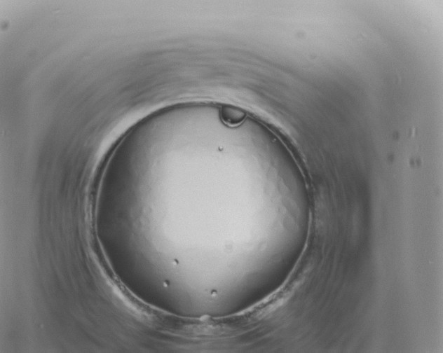 X0000060771517200511241741