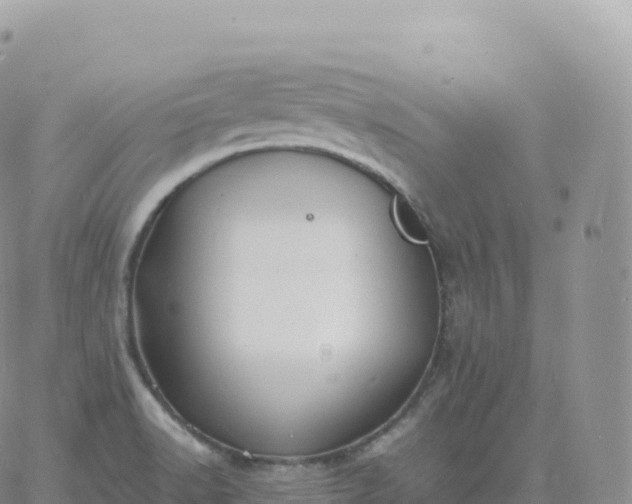 X0000060771518200511241741