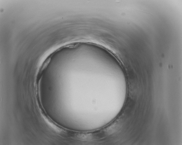 X0000060771519200511241741