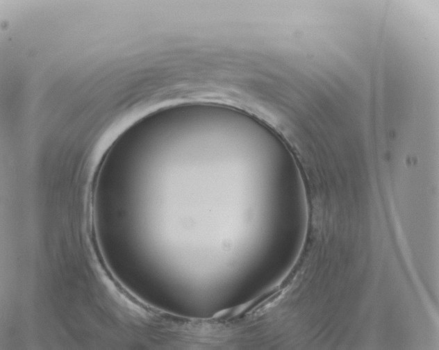 X0000060771520200511241741