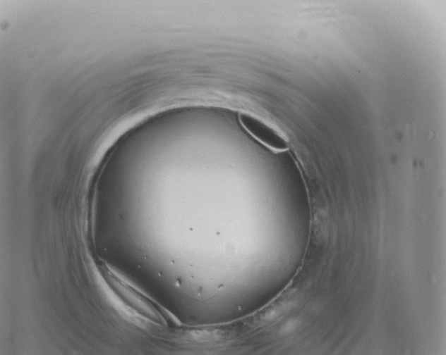 X0000060771523200511241741