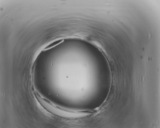 X0000060771524200511241741