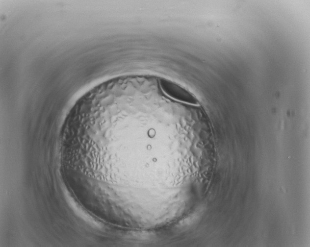 X0000060771526200511241741