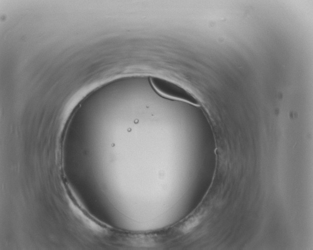 X0000060771527200511241741