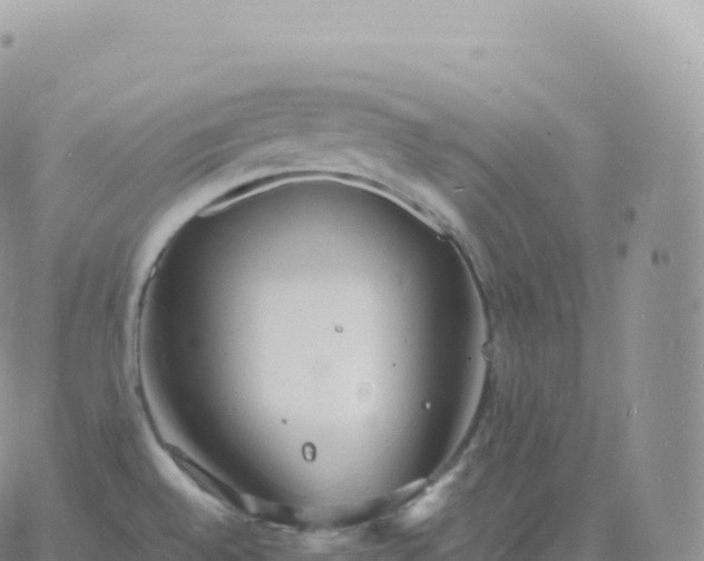 X0000060771528200511241741