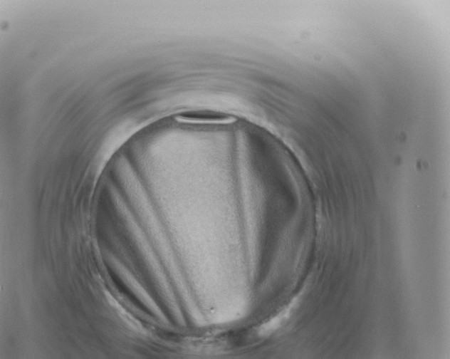 X0000060771529200511241741