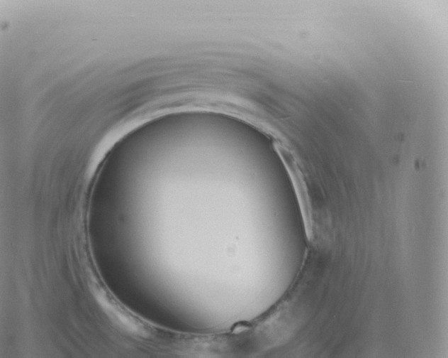 X0000060771530200511241741