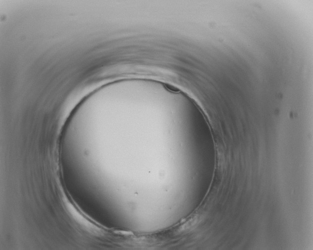 X0000060771531200511241741