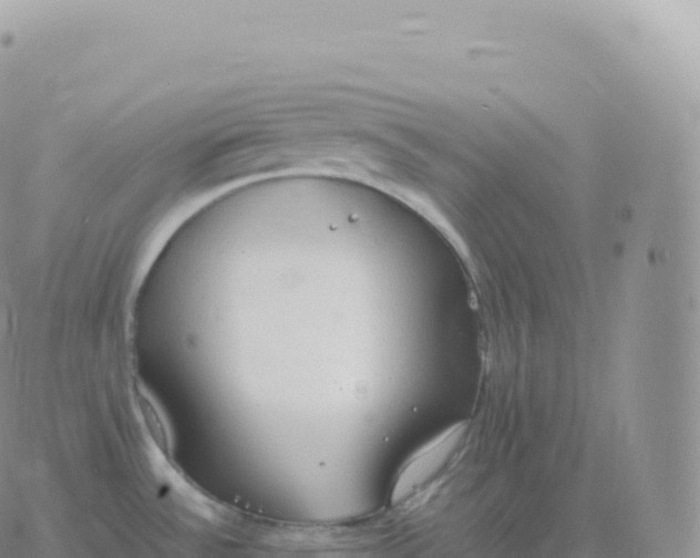 X0000060771532200511241741