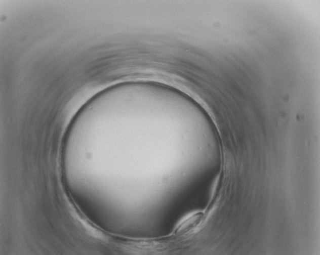 X0000060771533200511241741