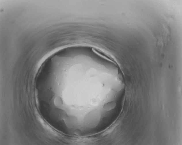 X0000060771534200511241741