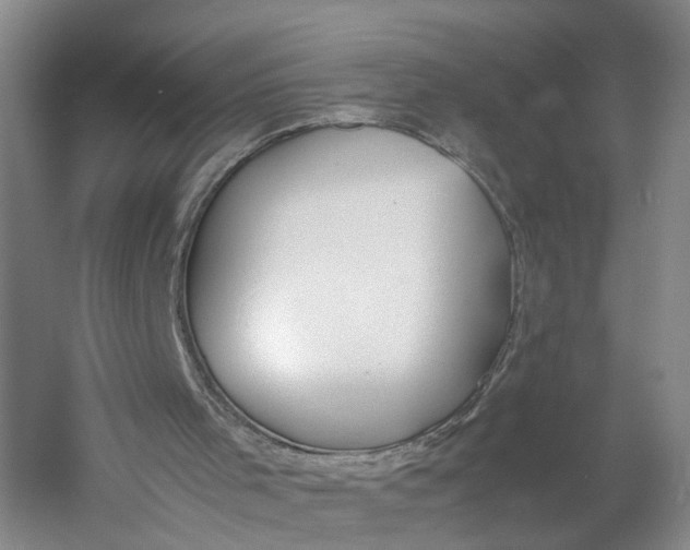 X0000060770001200512011624