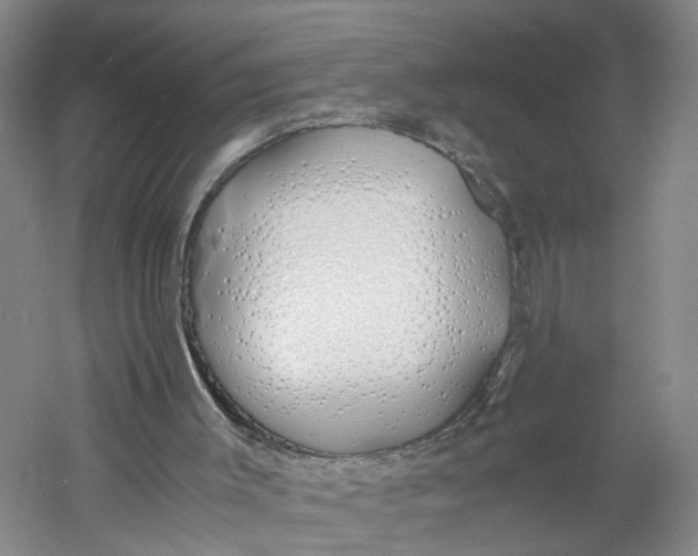 X0000060770003200512011624